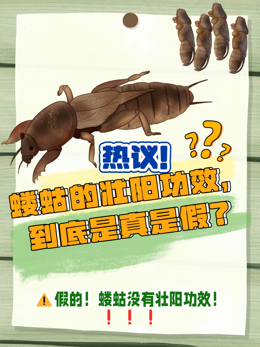 开云体育中国官网-崬?2顓?勨??嚛谏S??W捥惽?t5\?蛄?[9硑詻i魸晀?牀6(鈥滄柊涓紡鈥濇湇瑁呬负鍟彈杩芥崸)
